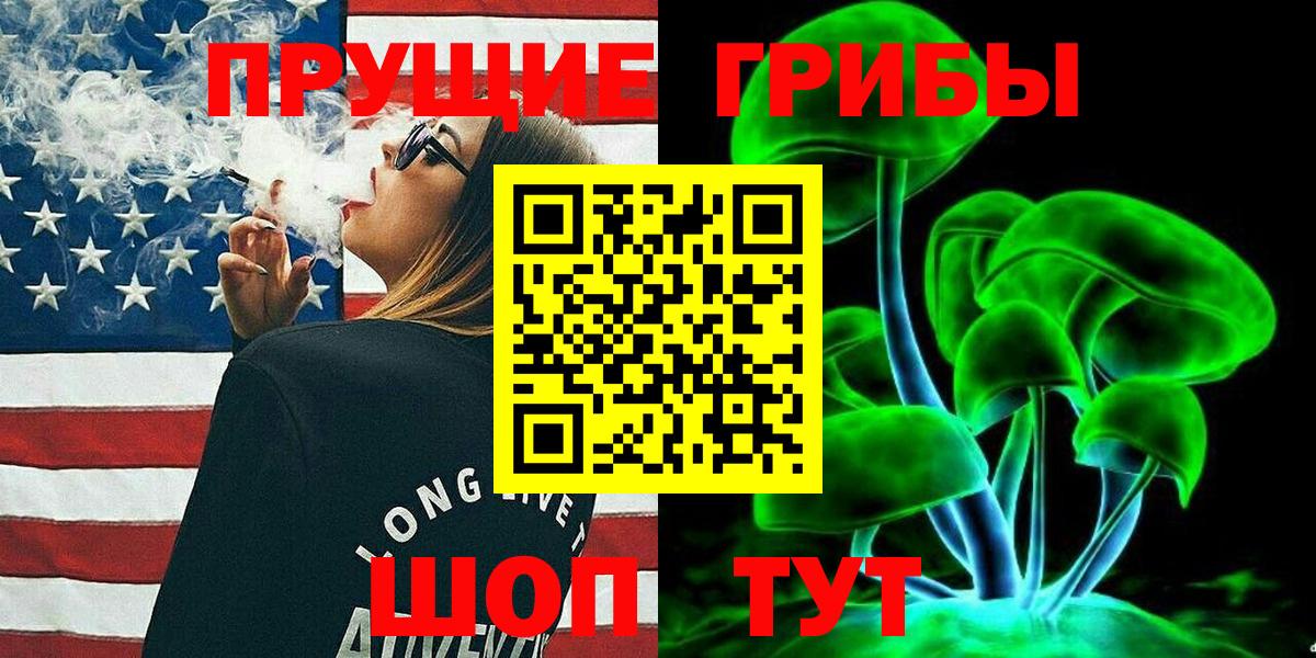 Псилоцибиновые грибы Cubensis Вятские Поляны