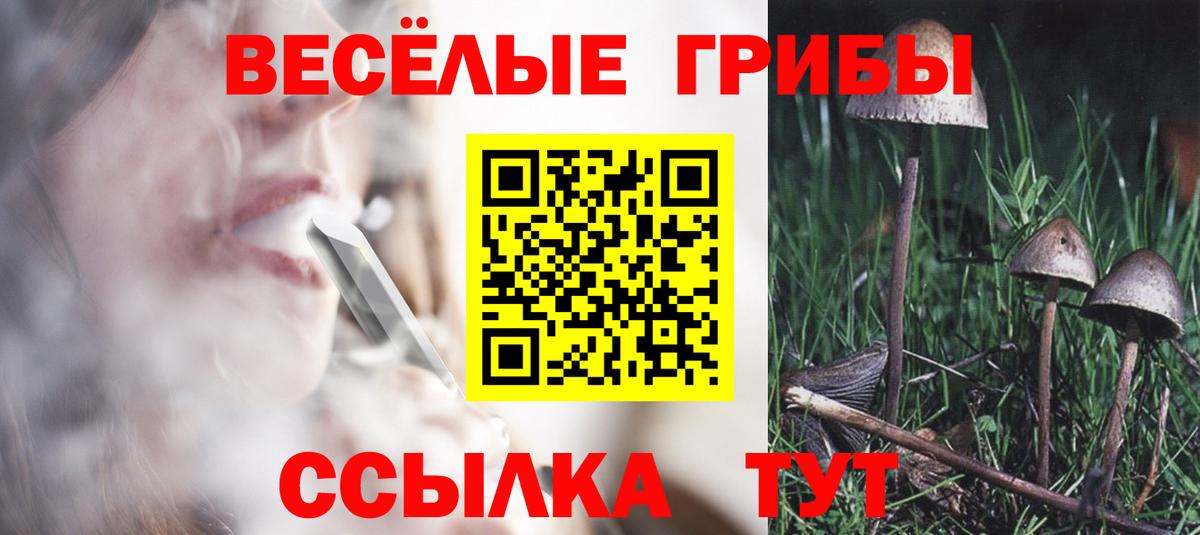 Псилоцибиновые грибы мицелий  дарнет шоп  Вятские Поляны  Вход с VPN  Псилоцибиновые грибы Psilocybe 